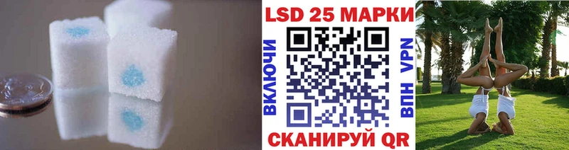 дарнет шоп  Зеленоградск  ЛСД экстази кислота 